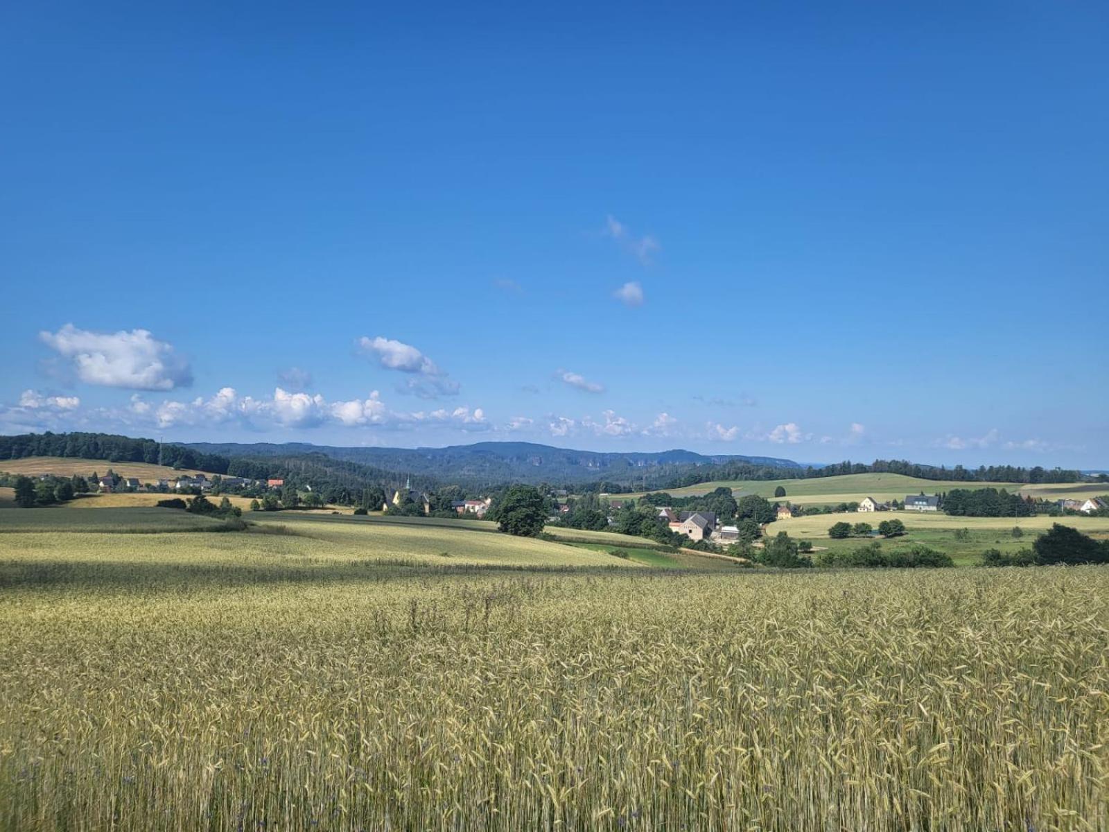 Apartmán Kastanienhof Hinterhermsdorf Exteriér fotografie