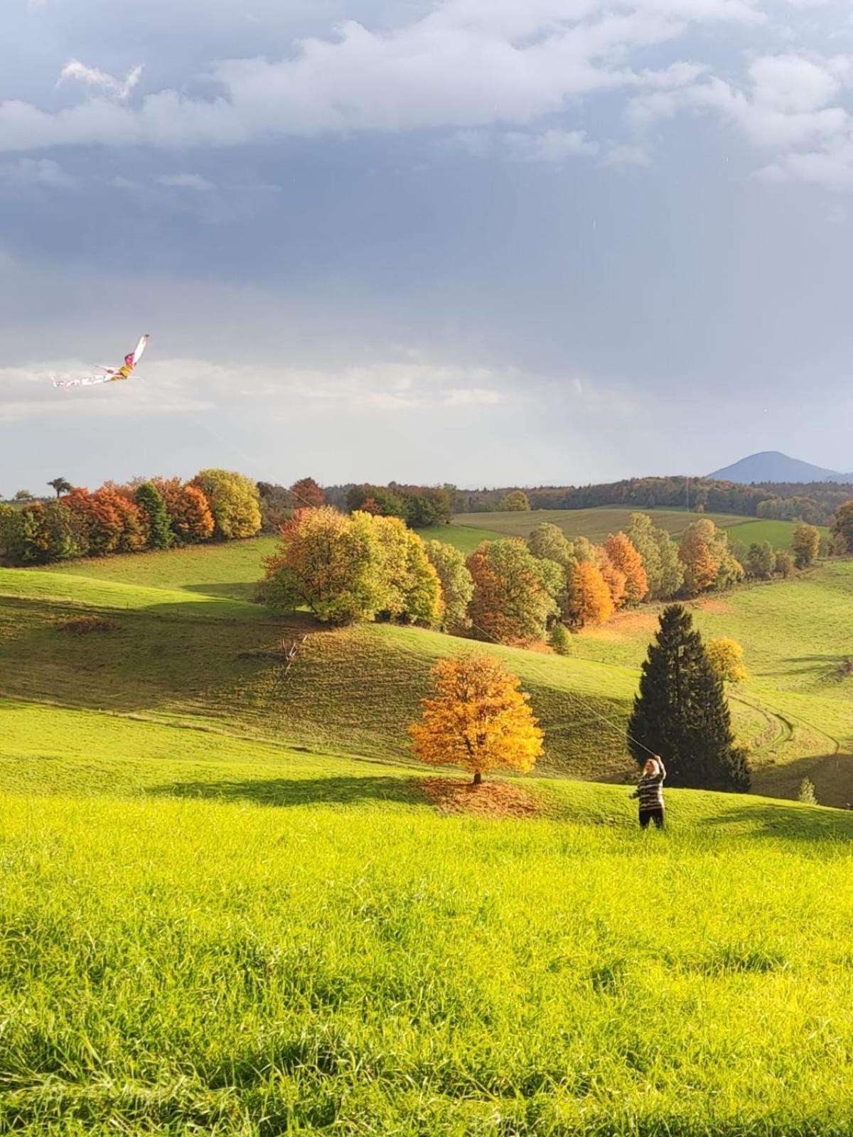 Apartmán Kastanienhof Hinterhermsdorf Exteriér fotografie